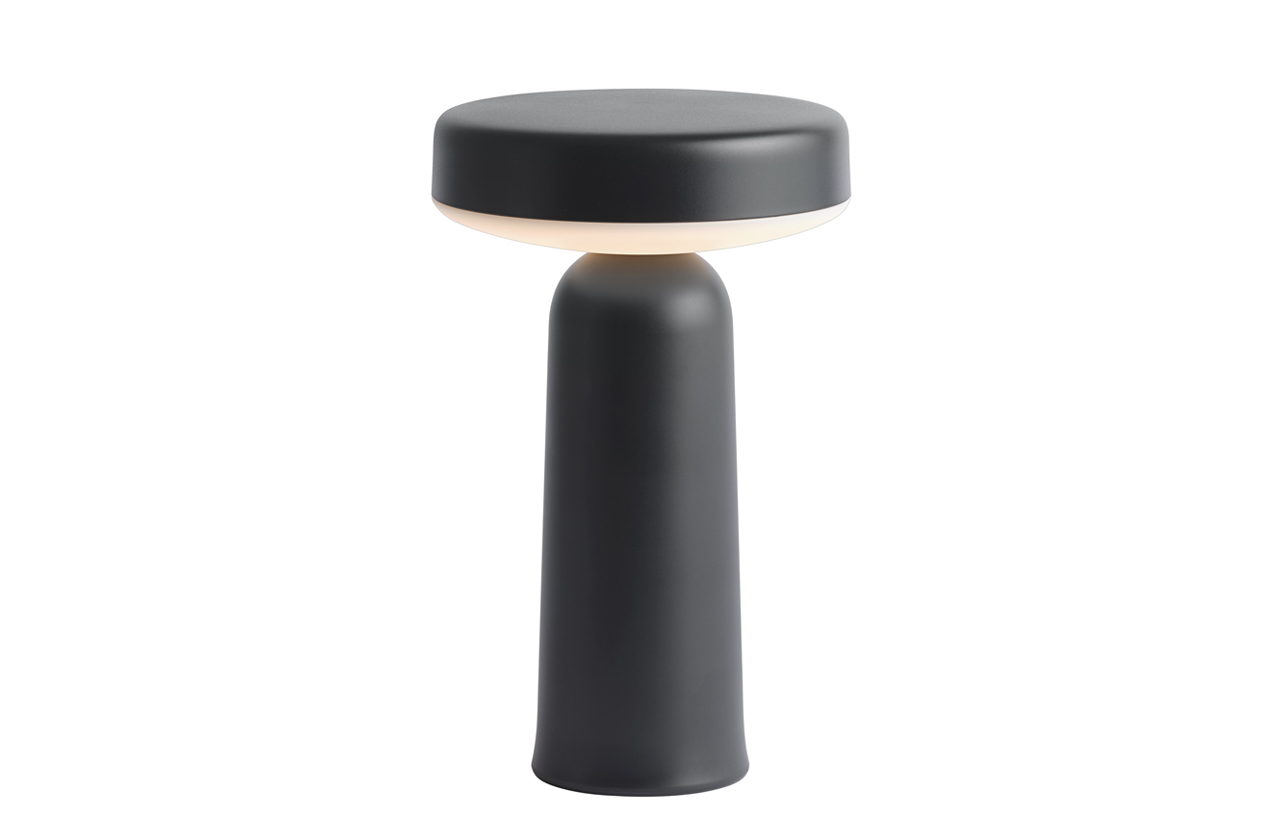 EASE portable light