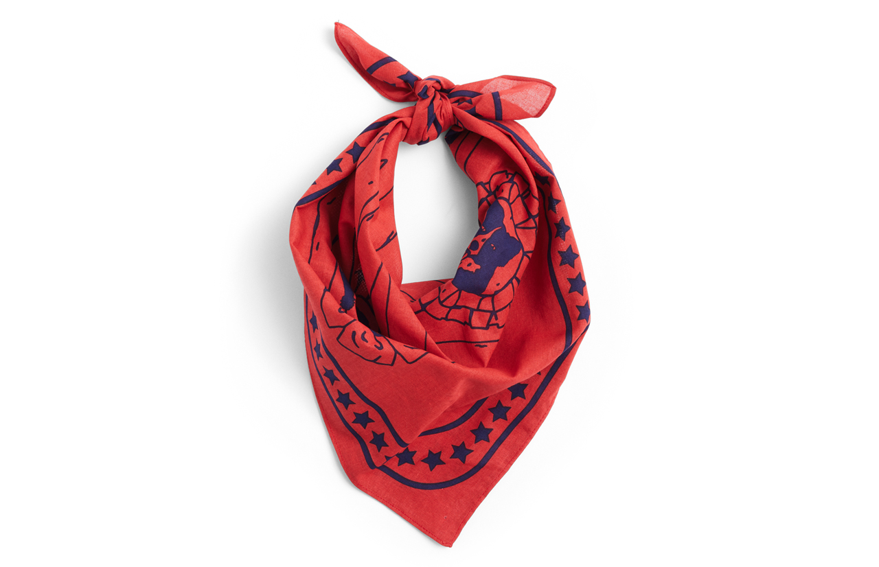 HAY DOGS Bandana for Dogs