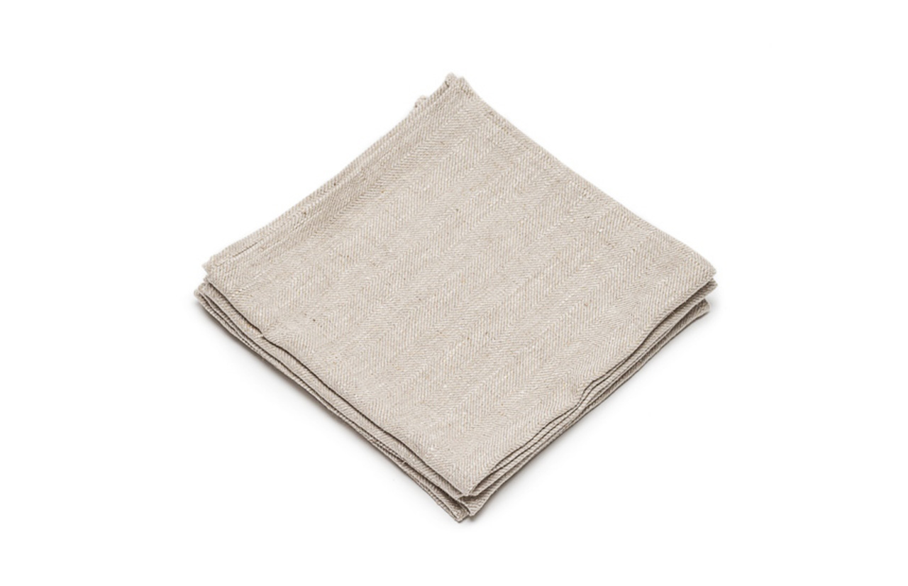 TERRA servetėlės 42x42, 4 vnt