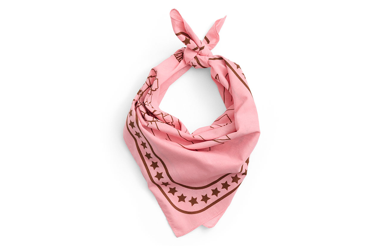 HAY DOGS 2.0 scarf