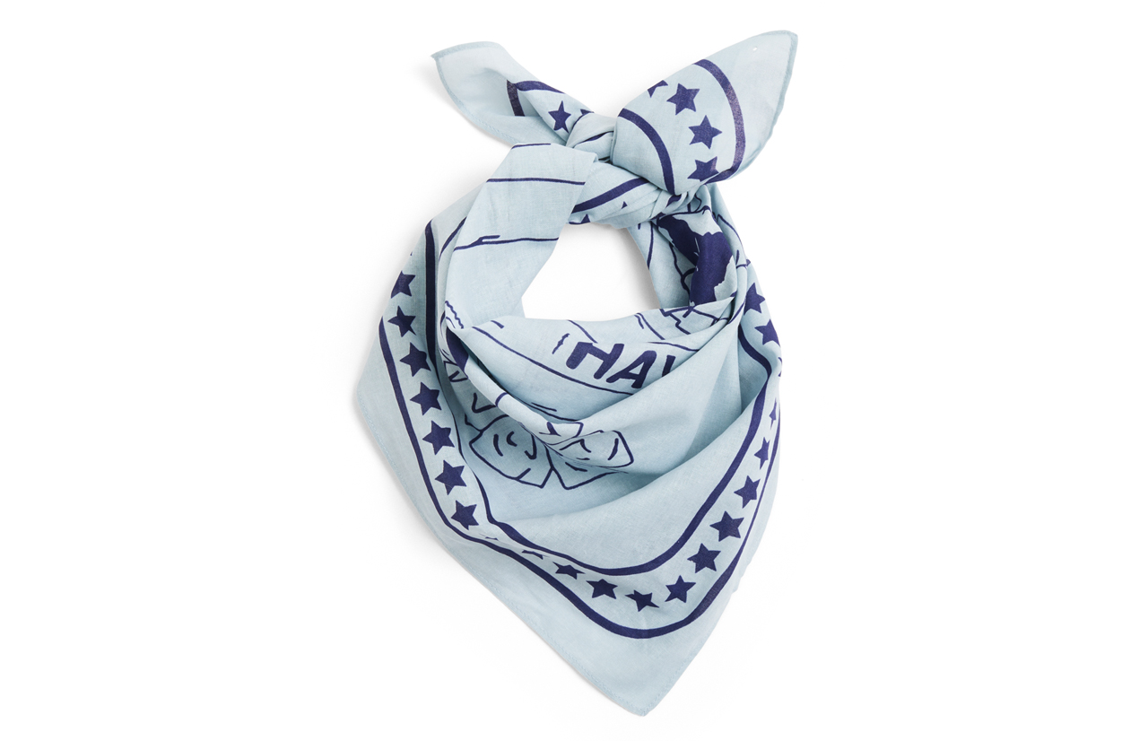 HAY DOGS Bandana for Dogs