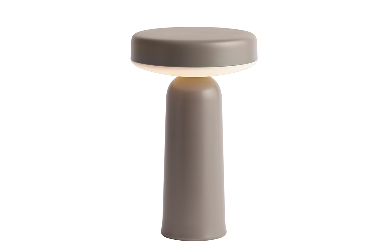 EASE portable light