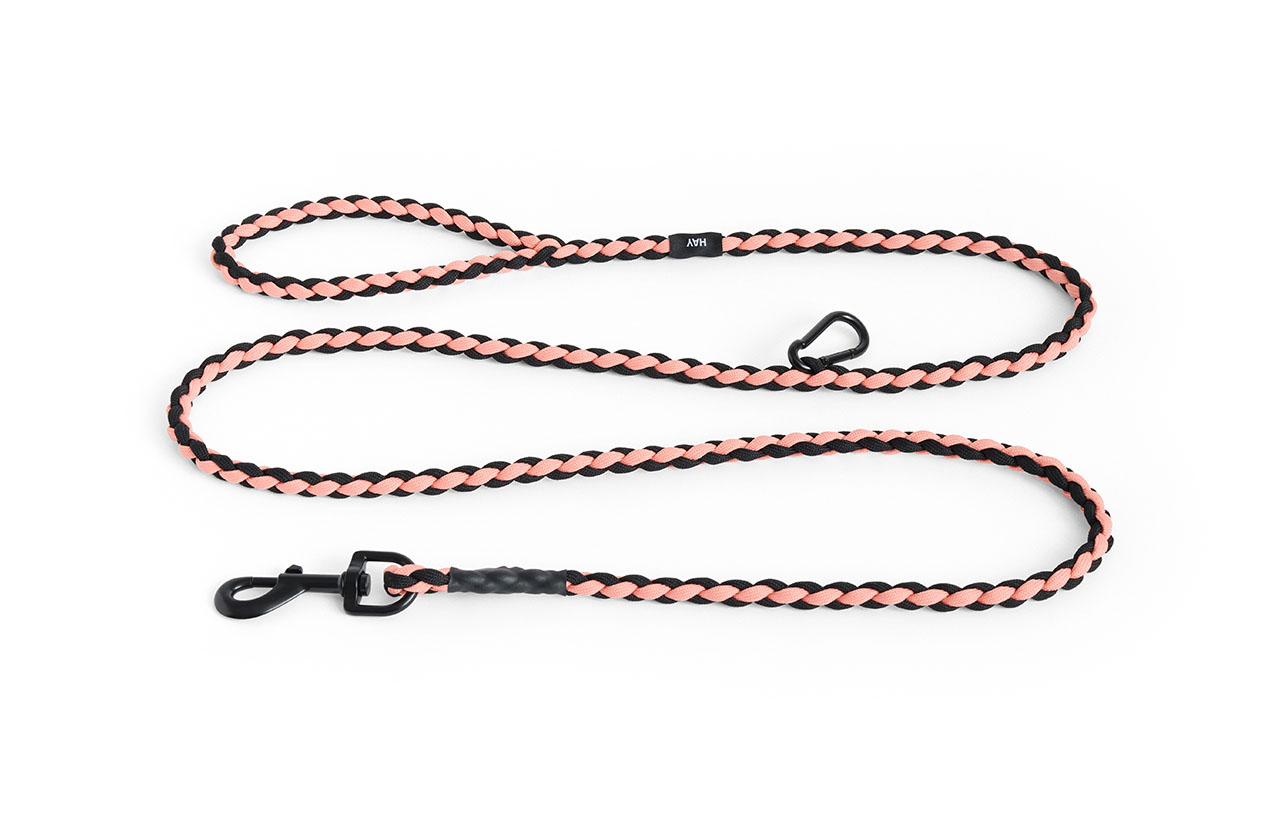 HAY DOGS BRAIDED Leash