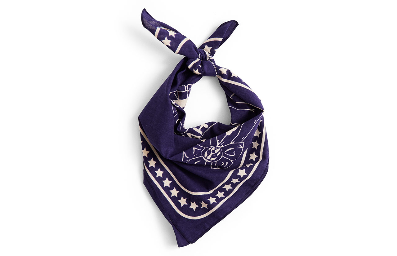 HAY DOGS 2.0 scarf