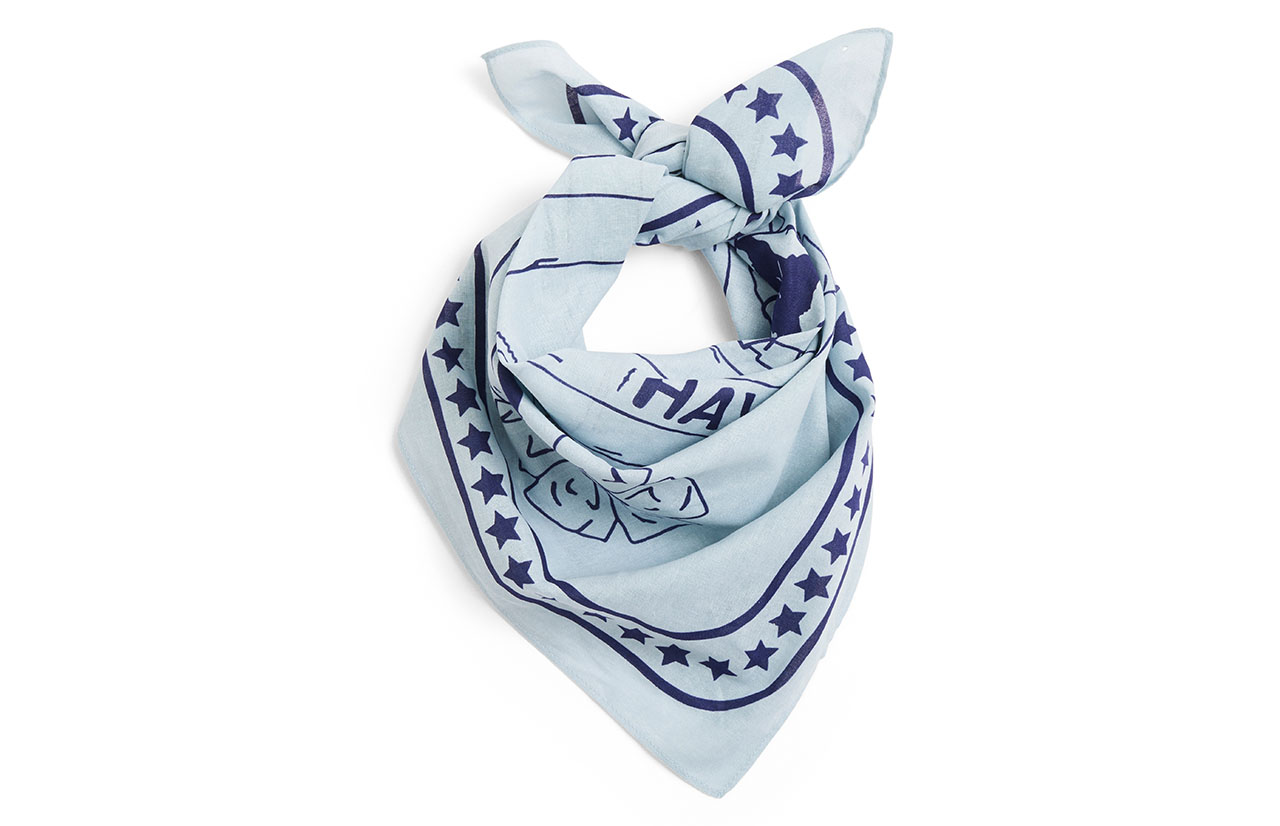 HAY DOGS 2.0 scarf