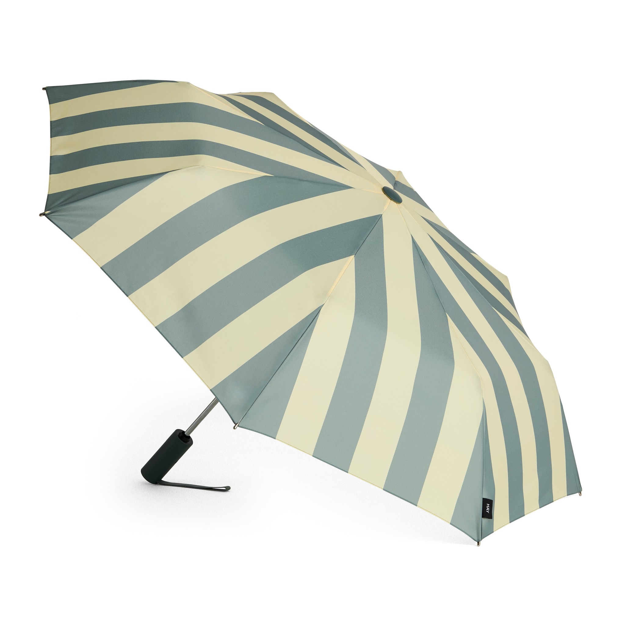 REGN skėtis