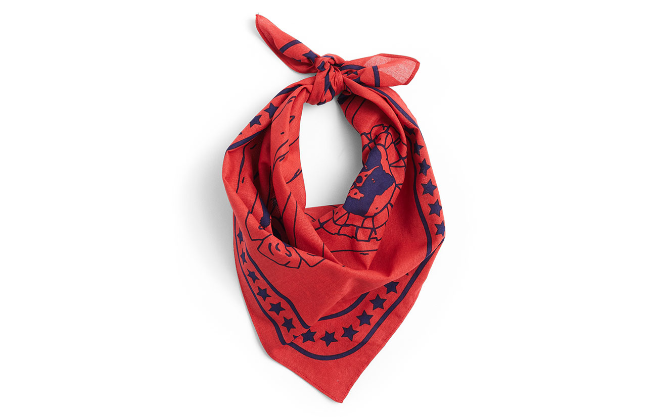 HAY DOGS 2.0 scarf
